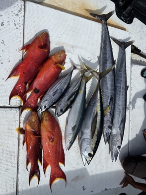 【手ぶらで船釣り体験】自社遊漁船で船釣り体験プラン